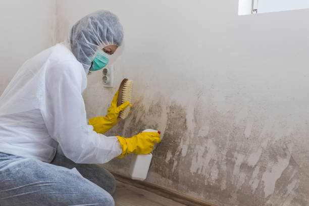 Best Toxic Mold Removal  in Indian Springs Village, AL