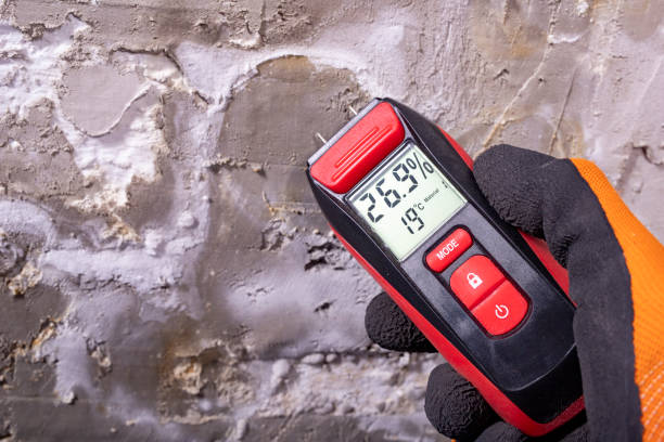 Best Mold Damage Repair  in Indian Springs Village, AL